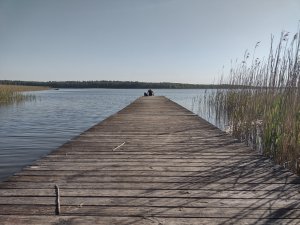 Zajęcia terenowe z ekologii behawioralnej w Pilchach